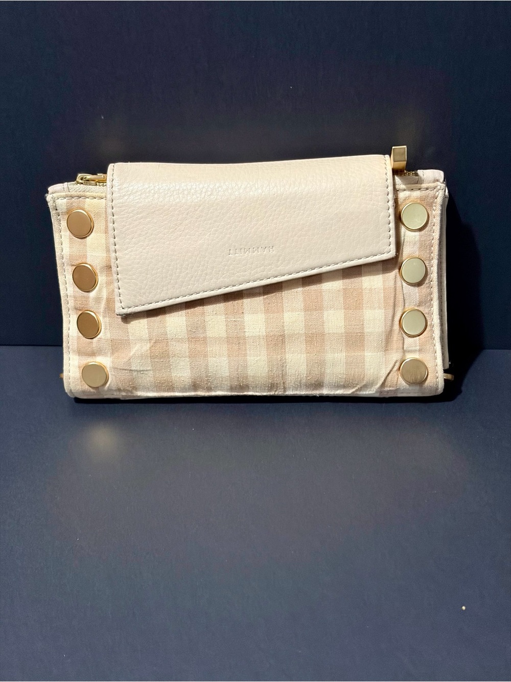 Hammitt Levy Small Crossbody Clutch in Dandelion Gingham